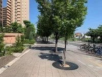 周辺環境4