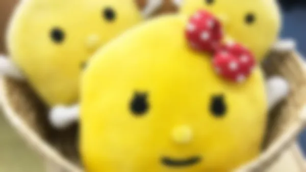 倉敷校 生徒のみなさんを合格へ導く倉敷校の守り神です。