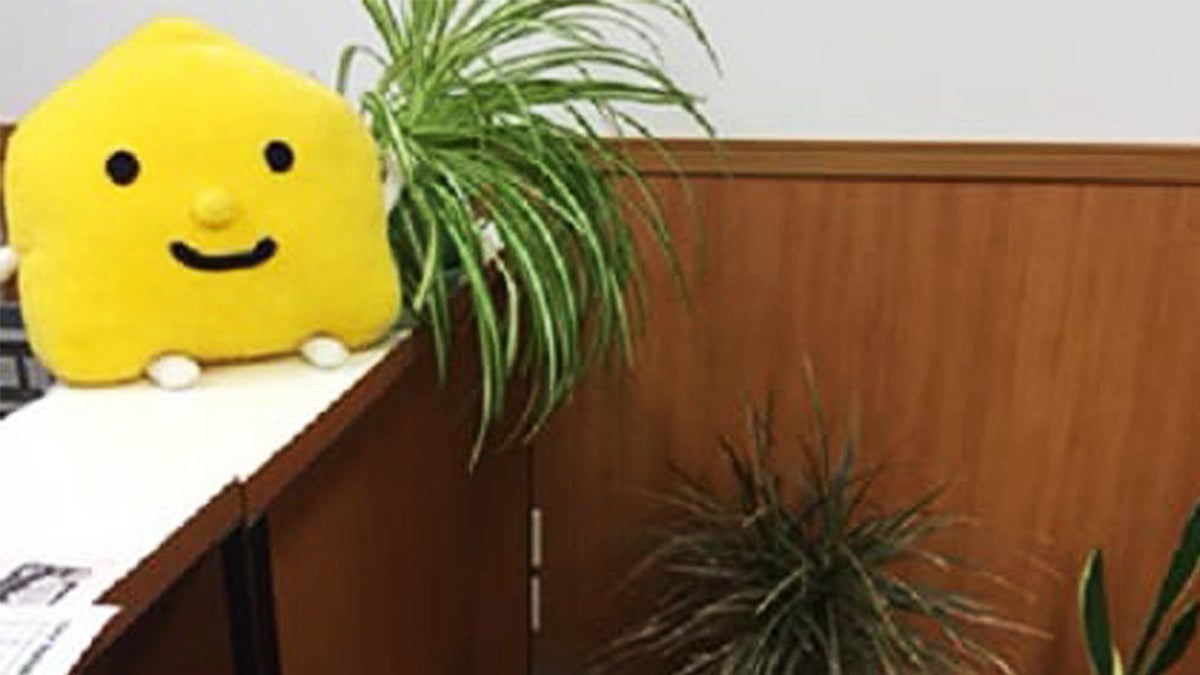 泉校 緑がいっぱい