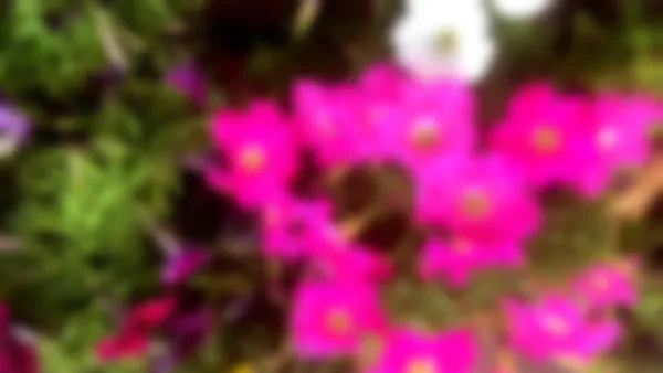 千葉新宿校 地域に貢献する個別指導塾