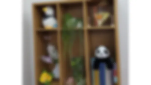 東長崎校 花と緑とぬいぐるみが迎える明るい雰囲気