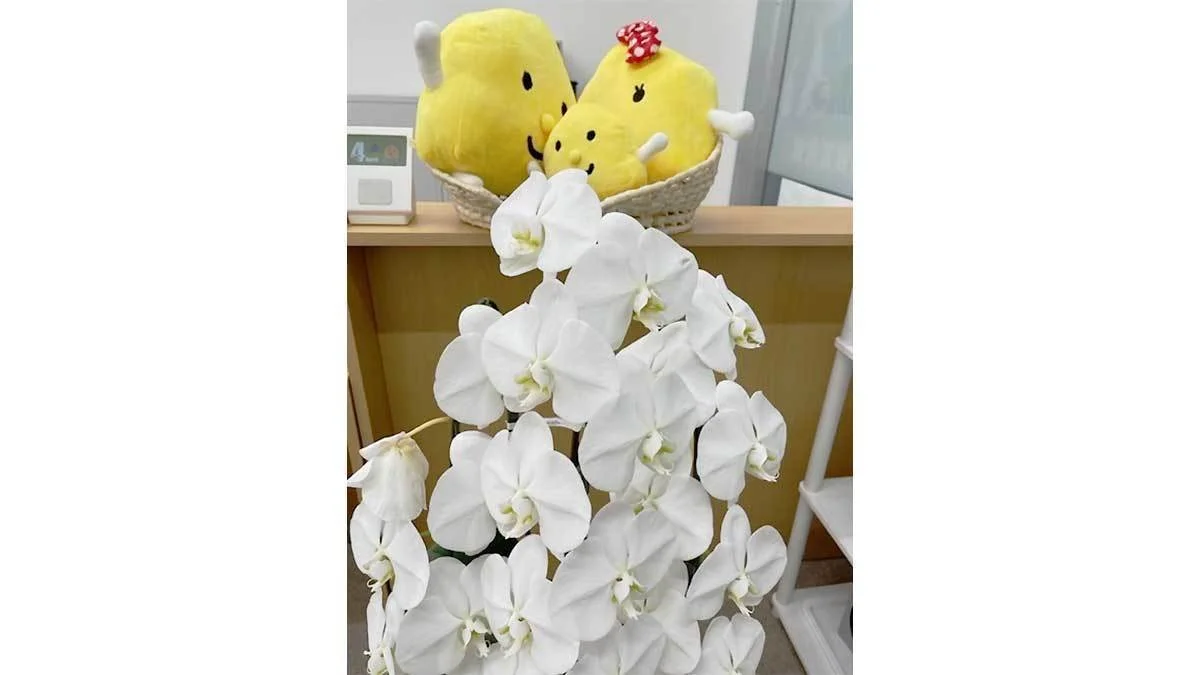 本諫早駅前校 癒やしの入口で癒してください。