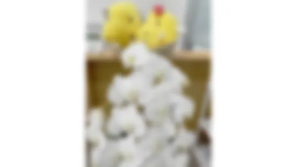 本諫早駅前校 癒やしの入口で癒してください。