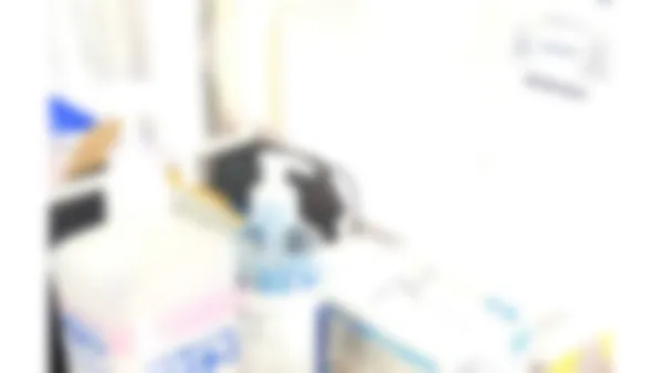 城東校 コロナ対策も万全な形にて、お出迎えしております。