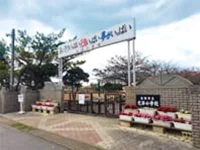 周辺環境2